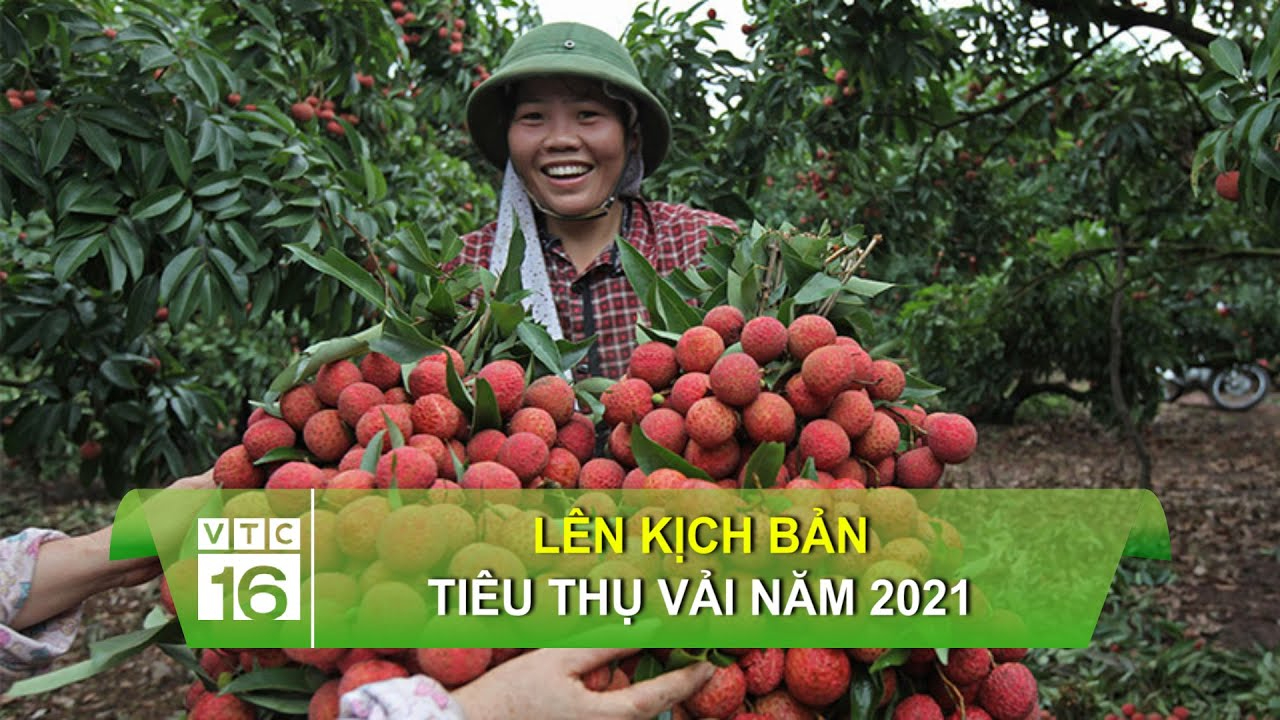 Quy định mới nhất về chế độ trực hè của giáo viên các cấp