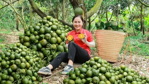 Sự Bùng Nổ Của Video Ngắn và Trí Tuệ Nhân Tạo: Vai Trò Thiết Yếu Của Đào Tạo Kỹ Năng Sáng Tạo Nội Dung_Gói tiếp thị kỹ thuật số dịch vụ