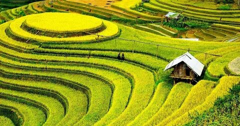 Top 10 trường THPT dễ trúng tuyển lớp 10 nhất TP.HCM năm 2025